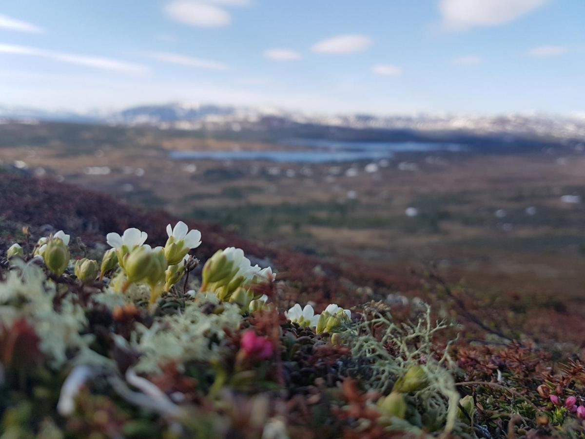 Renfjaellsgarden Hostel Edsasdalen Buitenkant foto