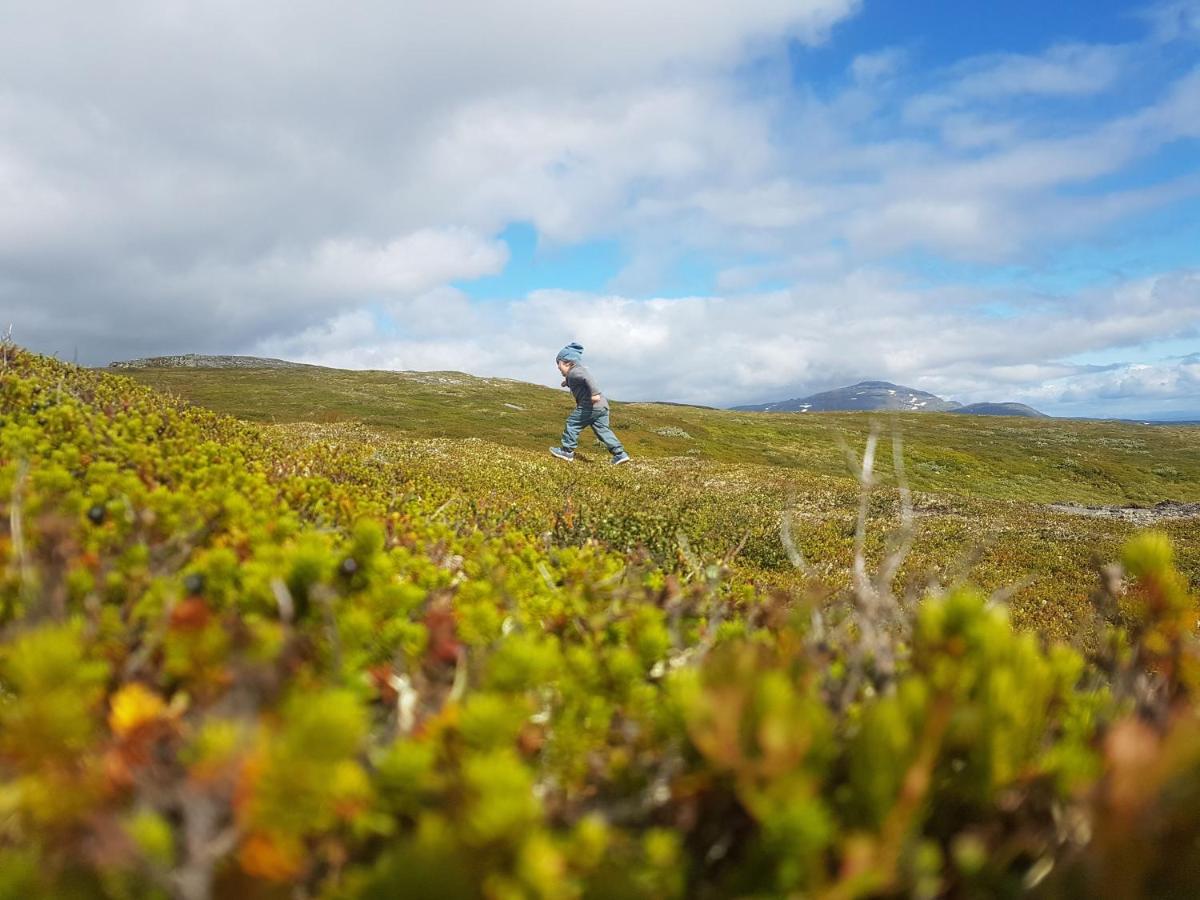 Renfjaellsgarden Hostel Edsasdalen Buitenkant foto