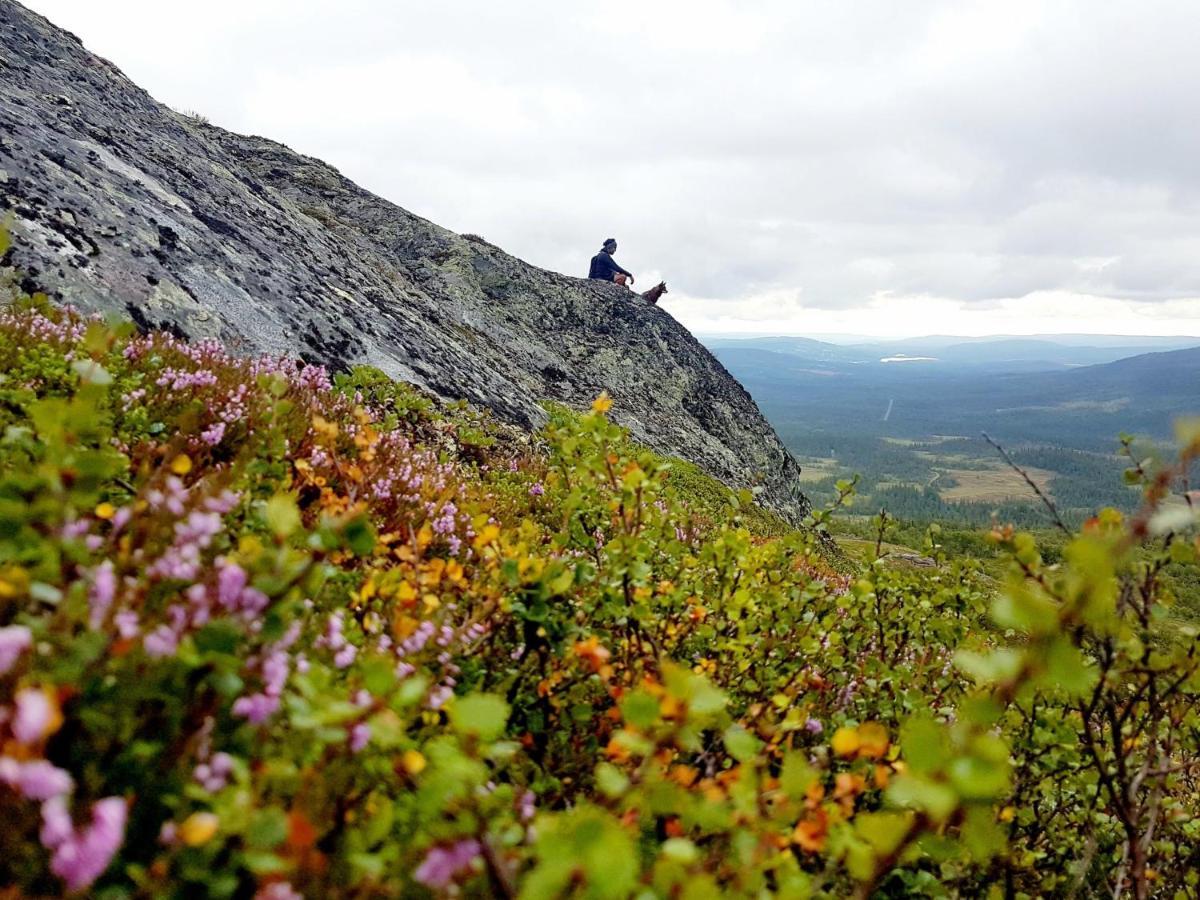 Renfjaellsgarden Hostel Edsasdalen Buitenkant foto