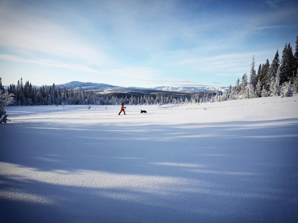 Renfjaellsgarden Hostel Edsasdalen Buitenkant foto